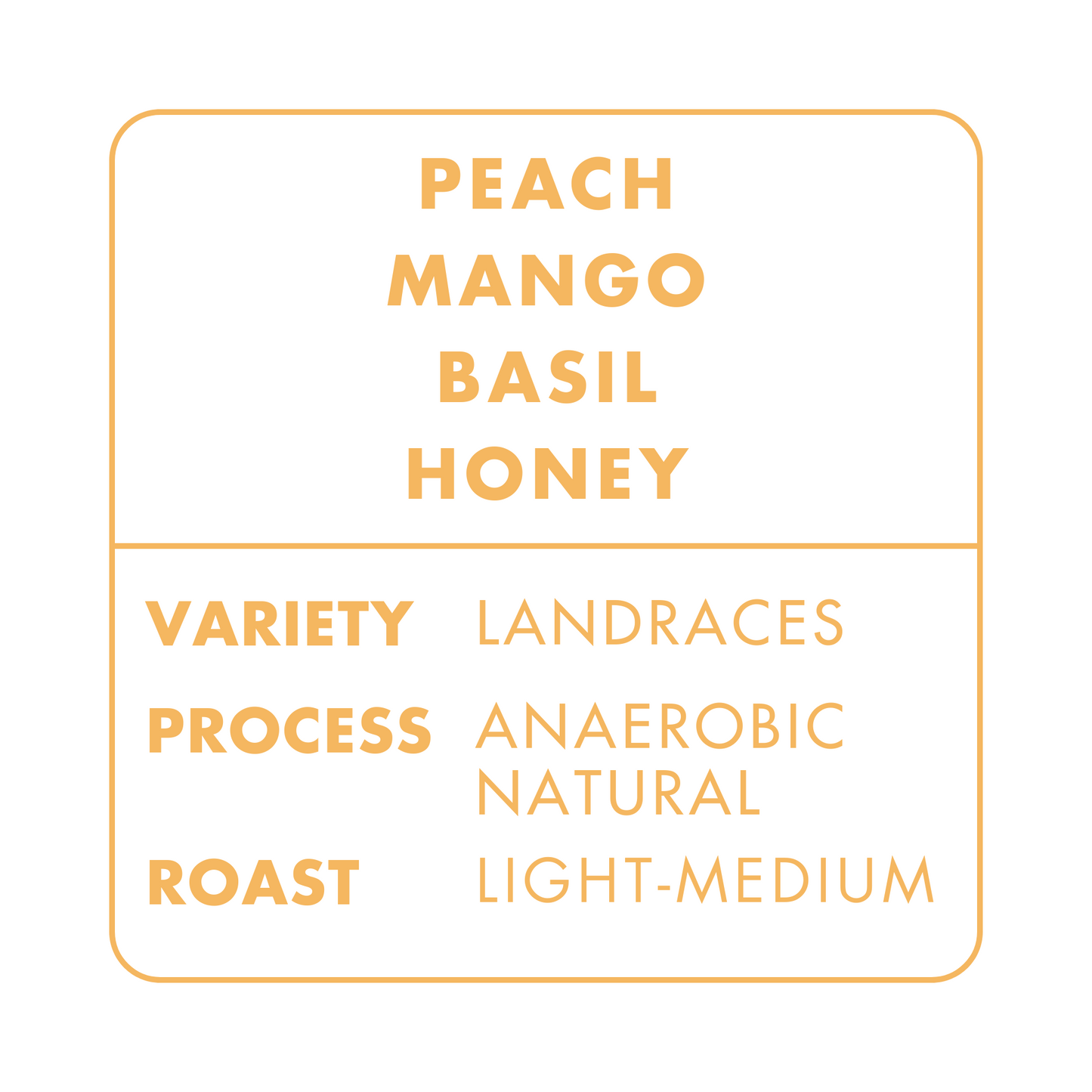 BANKO CHELCHELE | ETHIOPIA (OUT OF STOCK)