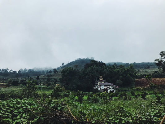 Myanmar Coffee | The Emerald Peacock Story