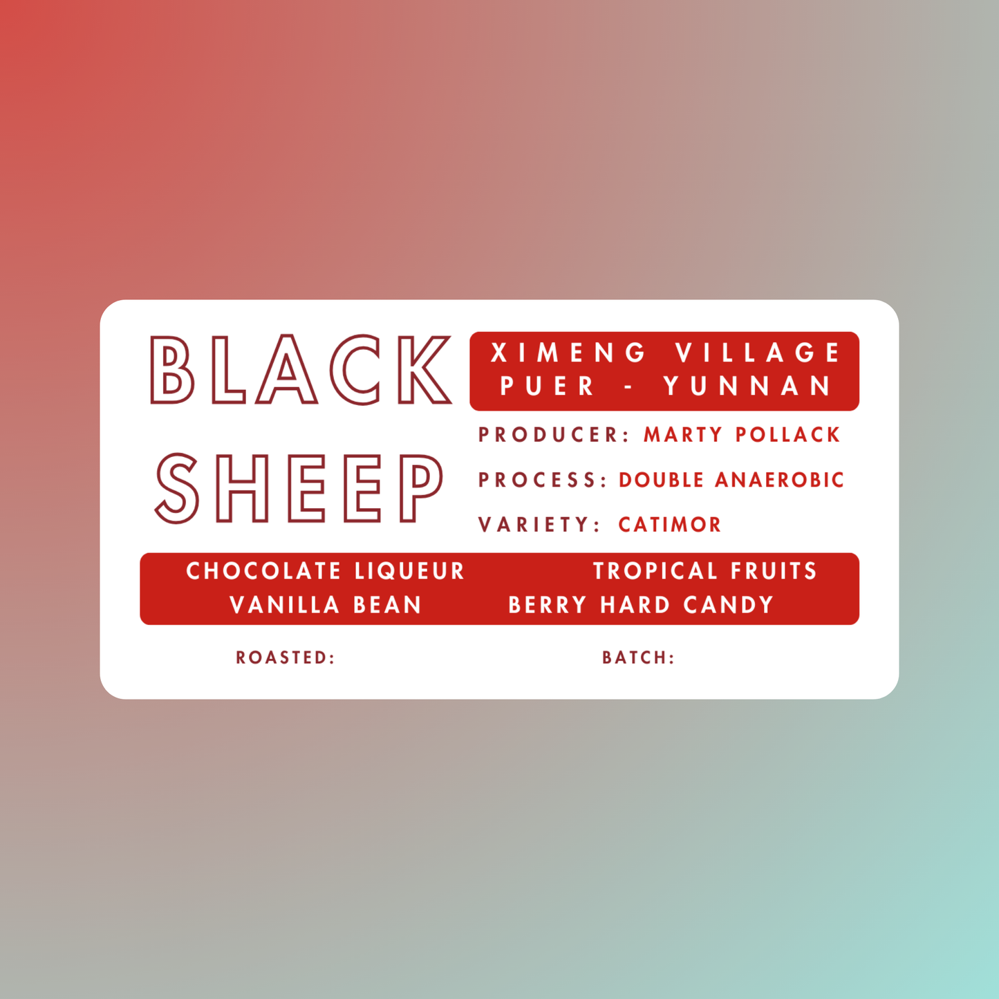 *NEW* Black Sheep | Ximeng Village, Yunnan | Marty Pollack