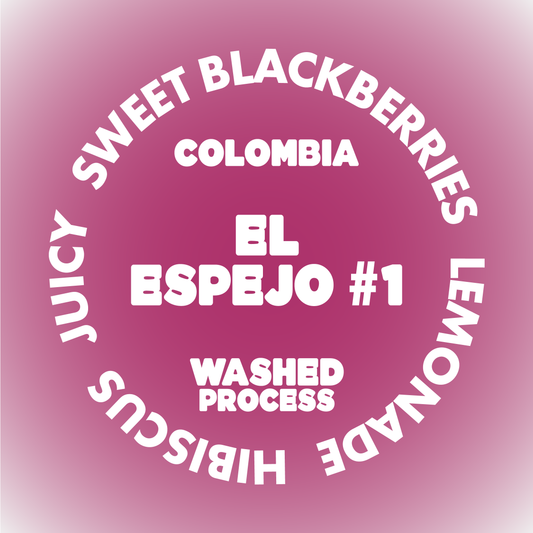 EL ESPEJO #1 | COLOMBIA