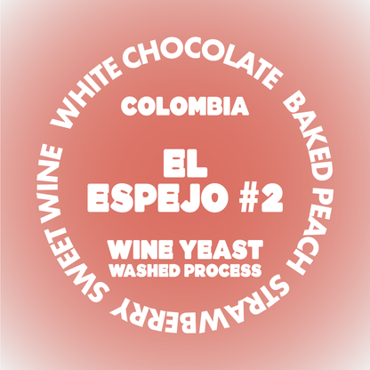 EL ESPEJO #2 | COLOMBIA