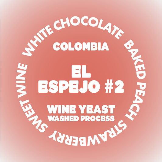 EL ESPEJO #2 | COLOMBIA