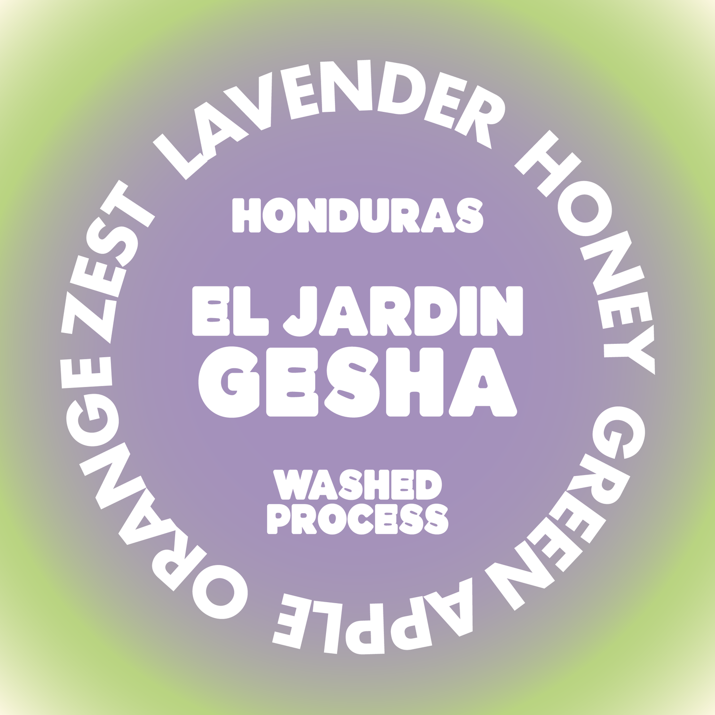 EL JARDIN GESHA | HONDURAS