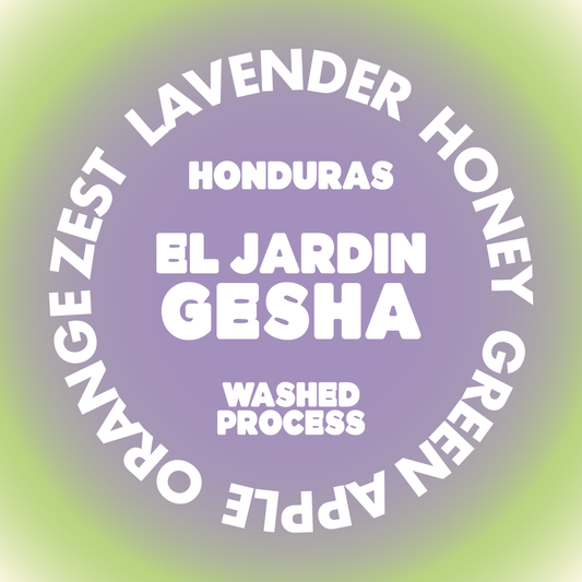 EL JARDIN GESHA | HONDURAS