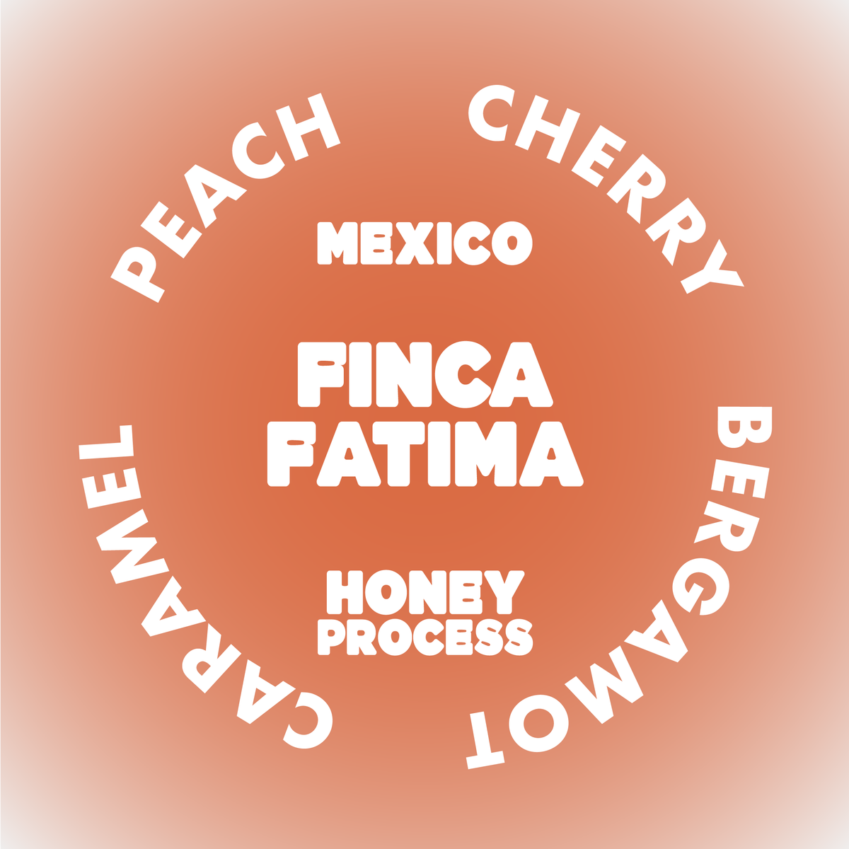 FINCA FATIMA | MEXICO