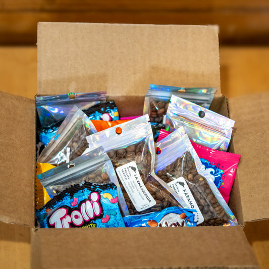 Piñata Package - Sample Pack