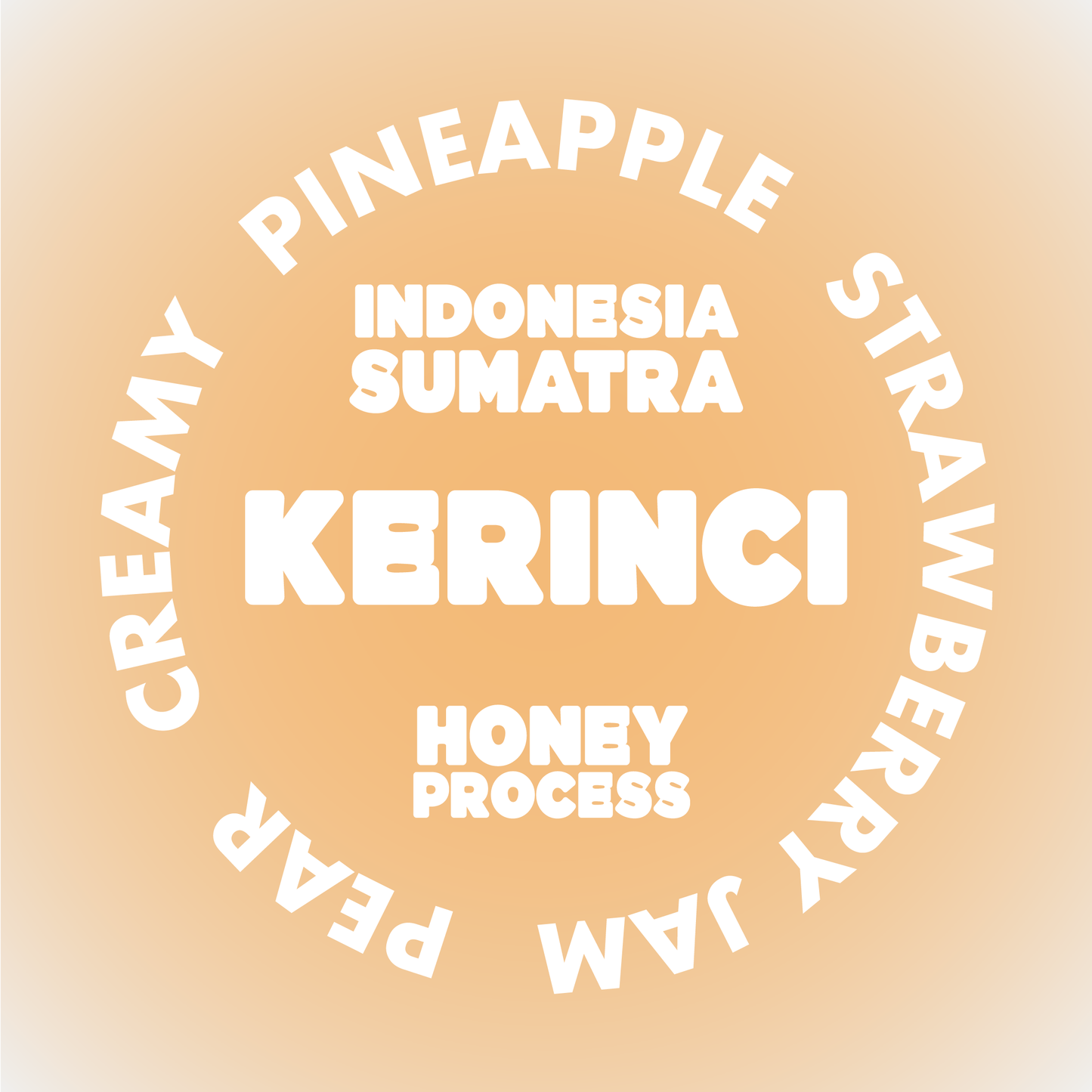 KERINCI | INDONESIA *NEW*