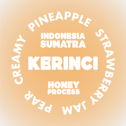 KERINCI | INDONESIA *NEW*