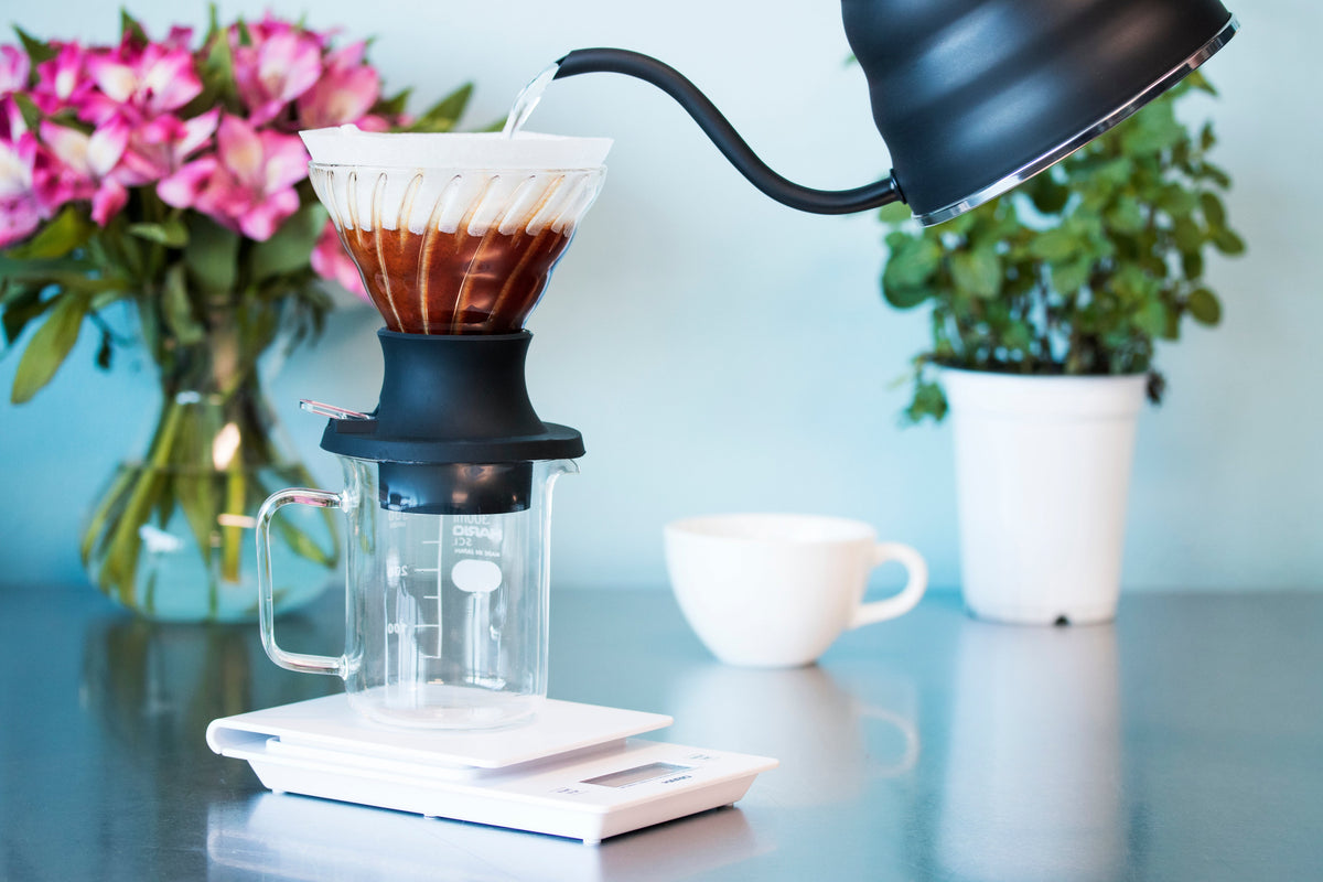 V60 SWITCH Glass Dripper