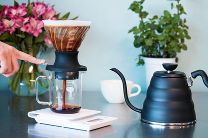V60 SWITCH Glass Dripper