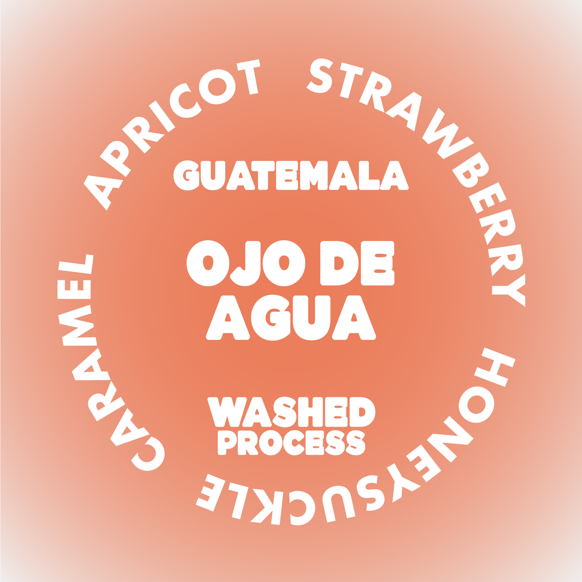 OJO DE AGUA | GUATEMALA