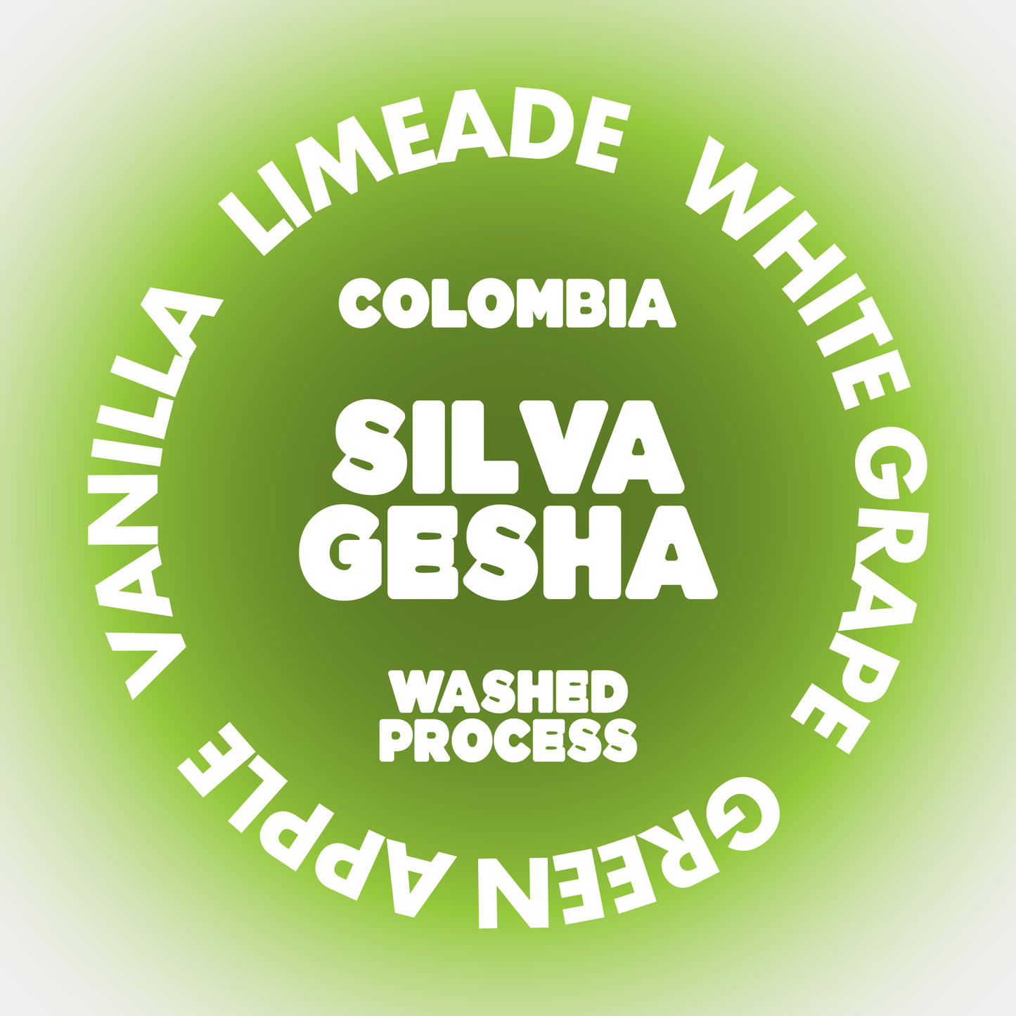 SILVA GESHA | EL SALVADOR