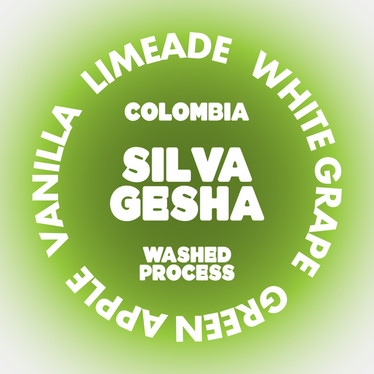 SILVA GESHA | EL SALVADOR