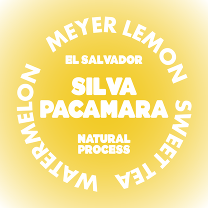 SILVA PACAMARA | EL SALVADOR
