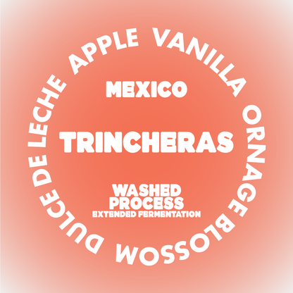 TRINCHERAS | MEXICO *NEW*