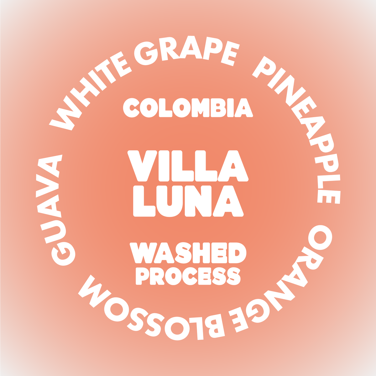 VILLA LUNA | COLOMBIA